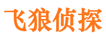 大宁市侦探公司